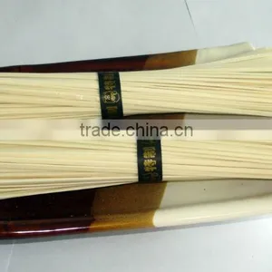 Udon Noodle thumbnail-1