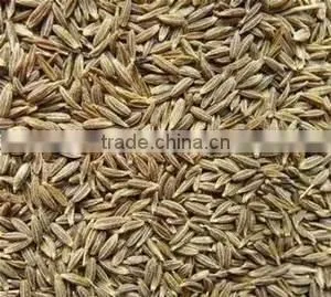 Cumin Seed thumbnail-2