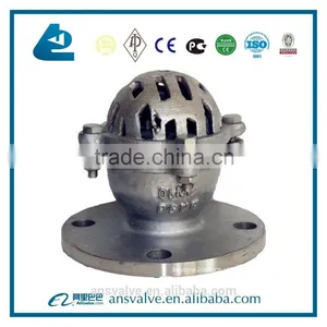 Stainless Steel Foot Valve thumbnail-1