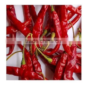 Dried Red Chilli Powder Price From India thumbnail-1