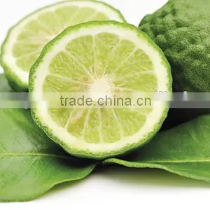 100% Pure Bergamot Essential Oil thumbnail-1