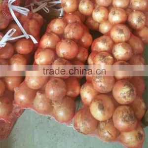 Fresh Red/yellow Onion High Quality From China thumbnail-4