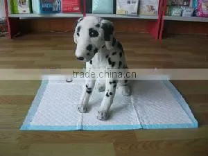 PET Pads for Pet Training thumbnail-1