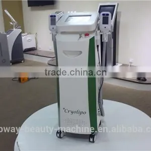 50 / 60Hz Super Popular 2 Cryo Handles Work Together Cryolipolysis Cool Tech Fat Freezing Machine Slimming Weight Loss Body Reshape thumbnail-5