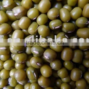Mung Bean/green Beans thumbnail-1
