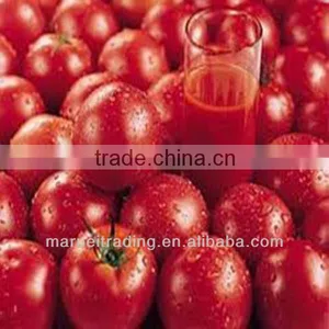 Tomato Paste in Can thumbnail-1