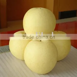 Fresh New Crop Crown Pear From China thumbnail-1