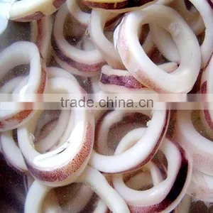 Frzoen Squid Rings and Tentacles of Squid R+T thumbnail-1