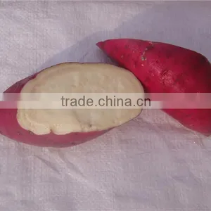 Fresh Sweet Potato/purple Sweet Potato/yellow Sweet Potato thumbnail-3