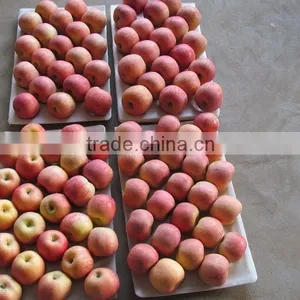 Fuji Apple thumbnail-2