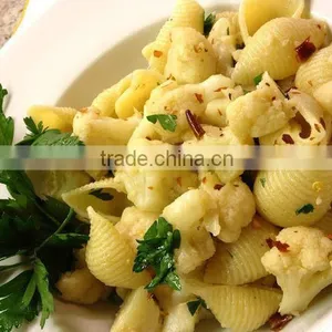 FDA Certified Shells Pasta, Healthy Mediterranean Macaroni 250g Bag, SHELL PASTA. thumbnail-4