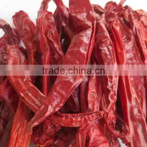 2015 New Crop Manufacturer Supplier Strictly Quality Control HACCP HALAL Dried Red Erjintiao Chile de Arbol for Mexico Market thumbnail-2