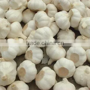 New Style Automatic Electric Normal Garlic Shallot Skin Removing Peeler Peeling Machine thumbnail-4