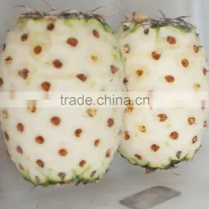 High Efficiency Automatic Industrial Pineapple Peeler thumbnail-6