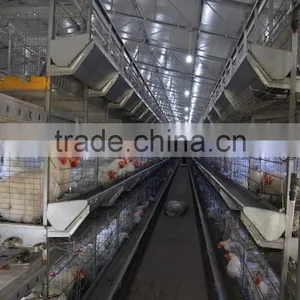 Battery Cages thumbnail-1