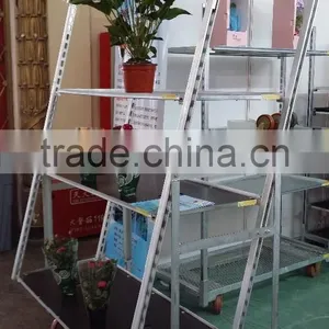 Greenhouse Cart / Transport Cart for Garden Centre / Garden Tool Rack thumbnail-3