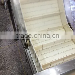 Belt Conveyor for Packaging Machinery thumbnail-2