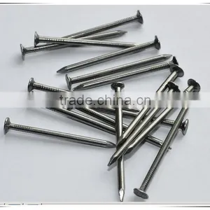 3" Common Nail Beauty Product Iron Nails From China Factory thumbnail-3