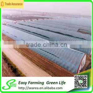 Hot Sale Small Size Agriculture Solar Greenhouse Farms for Sale thumbnail-2