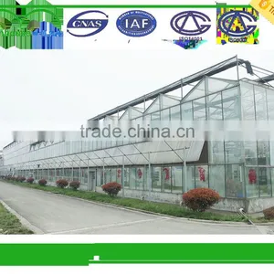 China Supplier Invernadero Agriculture Greenhouse thumbnail-5