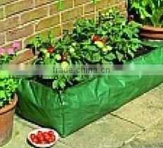 Heavy PE Greenhouse Grow Bag thumbnail-1