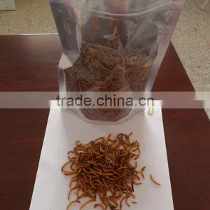 Pet Food Manufacturer and Exporter Dried Mealworms Crickets Grasshoppers thumbnail-3
