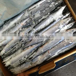 High Quality Frozen Saury thumbnail-1
