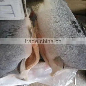 Deep Sea Well Taste or Market Fish and Frozen Seafood thumbnail-1