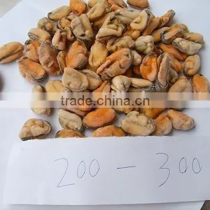 IQF Blue Mussel Meat thumbnail-2