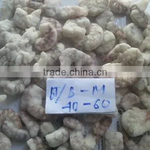 Shrimp Grade B thumbnail-1