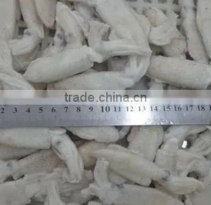 IQFchinese Baby Squid thumbnail-1
