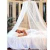 Mosquito Net thumbnail-1