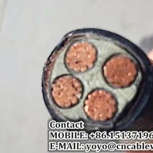 YJV Cable thumbnail-2