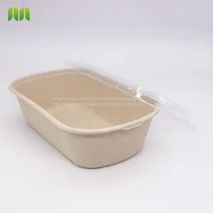 New Hot Disposable Biodegradable Single Compartment Salad Box Bagasse Food Box Take Away Sugarcane Container thumbnail-1