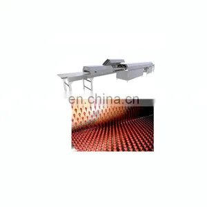 Shanghai Chocolate Cooling Tunnel thumbnail-1