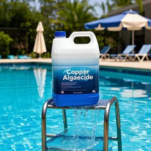 Copper Pool Algaecide for Swimming Pool 90 Day Algaecide for Inground Pool to Prevent and Remove Pool Algae thumbnail-3