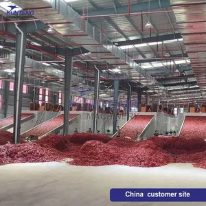 Huge Capacity Chilli Mesh Belt Drying Machine Vegetables Dryer Equipment Continuous EPC thumbnail-4