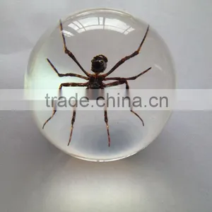 New Design Clear Plastic Christmas Sphere Ball With Real Ember Embedded for Promotional Gift thumbnail-1