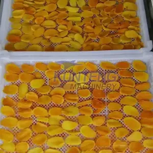 Commercial Mango Dryer Mango Dehydration Machine Mango Drying Production Line for Fruit Processing thumbnail-5