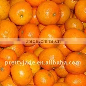 Sweet Baby Mandarin thumbnail-1