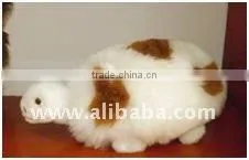 Baby Alpaca Stuffed Turtle thumbnail-1