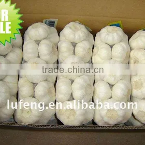Pure White Garlic thumbnail-1