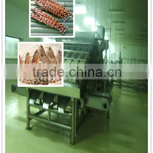Sardine Fish Select Machine thumbnail-1