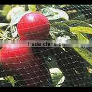 Stretched Plastic Netting | Fence to Protect Agriculture and Plants thumbnail-4