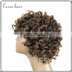 100% Premium Synthetic Wig Short Wig Afro Kinky Curly Wig for Black Women thumbnail-5