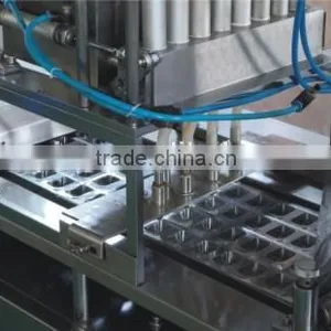 Automatic Blister Packing Production Line thumbnail-2