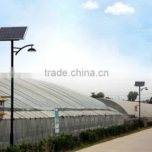 Energy Saving 3 Years Warranty IP65 Solar Led Street Light thumbnail-2