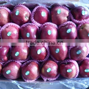 Red Huaniu Apple thumbnail-1