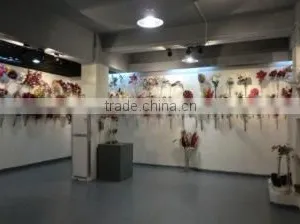 Shenzhen HYS Trading Co., Ltd. company overview - view 2 thumbnail