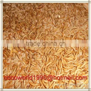 Dried Mealworms Recipes by the Pound Storage thumbnail-6